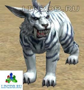 Горный Кугуар | Alpine Cougar