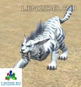 Горный Кугуар | Alpine Cougar