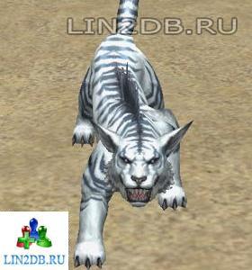 Горный Кугуар | Alpine Cougar