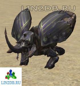 Скарабей Падальщик | Scavenger Scarab
