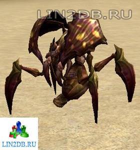 Жук Ассасин | Assassin Beetle