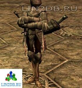 Берсерк Захватчиков Запретного Пути | Forbidden Path Invader Berserker