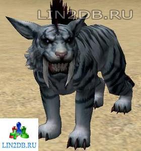Горный Кугуар | Alpine Cougar