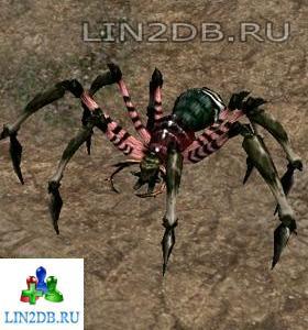 Паук Землерой | Spelunking Spider