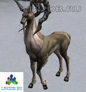 Вилорог | Pronghorn