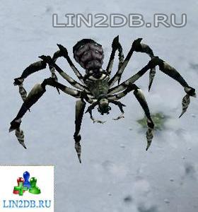 Замерзший Тарантул | Frost Tarantula