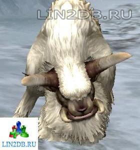 Буйвол Лабиринта | Lost Buffalo