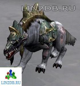 Собака Фреи | Freya