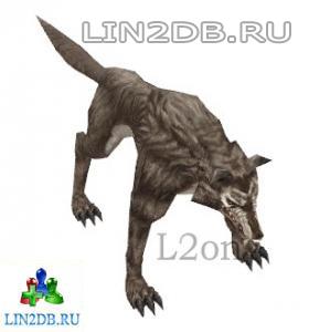 Вожак Черных Волков | Dominant Black Wolf