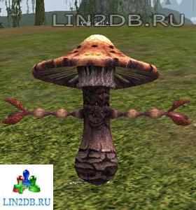 Горный Гриб | Mountain Fungus