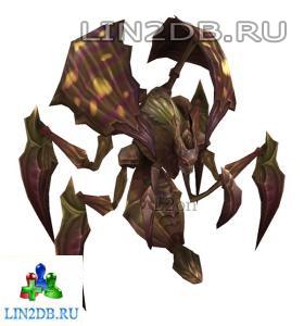 Жук Убийца | Assassin Beetle