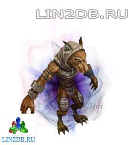 Ученик Маг Грабителей Могил | Lunatic Grave Robber Magician