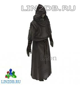 Ученик Солины | Ascetic Solina
