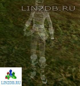 Рейдовый Босс Эльф Реноа | Raid Boss Elf Renoa