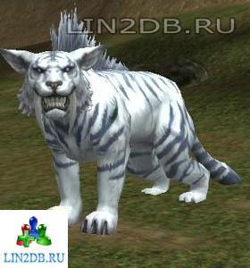 Рейдовый Босс Король Тигров Карута | Raid Boss Tiger King Karuta