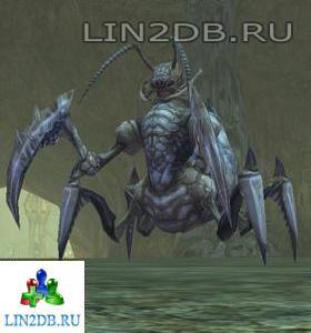 Королева Муравьев | Queen Ant