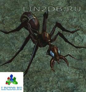 Муравей Нянька | Nurse Ant