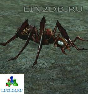 Муравей Страж | Guard Ant