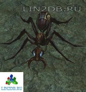 Муравей Королевский Страж | Royal Guard Ant
