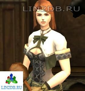 Торговец Доспехами Мага Пета | Wizard-use Armor Merchant Peta