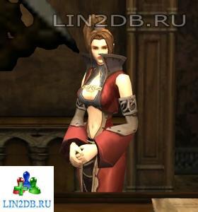 Торговец Доспехами Воина Радия | Warrior-use Armor Merchant Radia