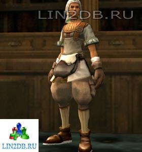 Торговец Снаряжением Мага Гентлер | Wizard-use Equipment Merchant Gentler
