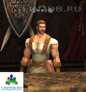 Торговец Оружием Ародин | Weapon Merchant Arodin