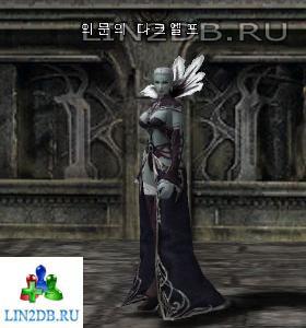 Загадочный Темный Эльф | Mysterious Dark Elf