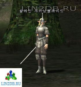 Слейн Сверкающее Лезвие | Slein Shining Blade