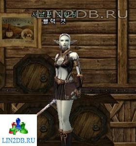 Аукционер | Auctioneer