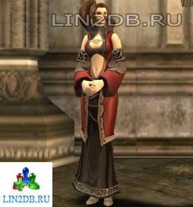 Торговец Оружием Верона | Weapon Merchant Verona