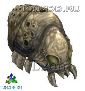 Спящая Личинка Муравья 3 | Sleeping Ant Larva3