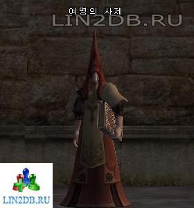 Жрец Рассвета | Priest of Dawn