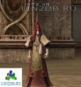 Жрец Рассвета | Priest of Dawn