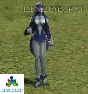 64 Уровень и Ниже Гид Фестиваля | Level 64 and Below Festival Guide