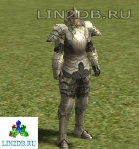 Обесчещенный Рыцарь Вальдштейн | Disgraced Knight Waldstein