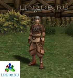 Член Гильдии Путешественников | Adventure Guildsman
