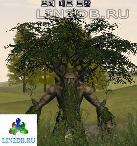 Древень Бремец | Treant Bremec