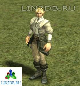 Управляющий Вивернами Финрод | Wyvern Manager Finrod